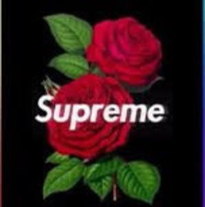 Meet your Posher, Phillip